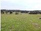 3 ,104ha Mt Bryan East 7,670acs, Mount Bryan SA 5418