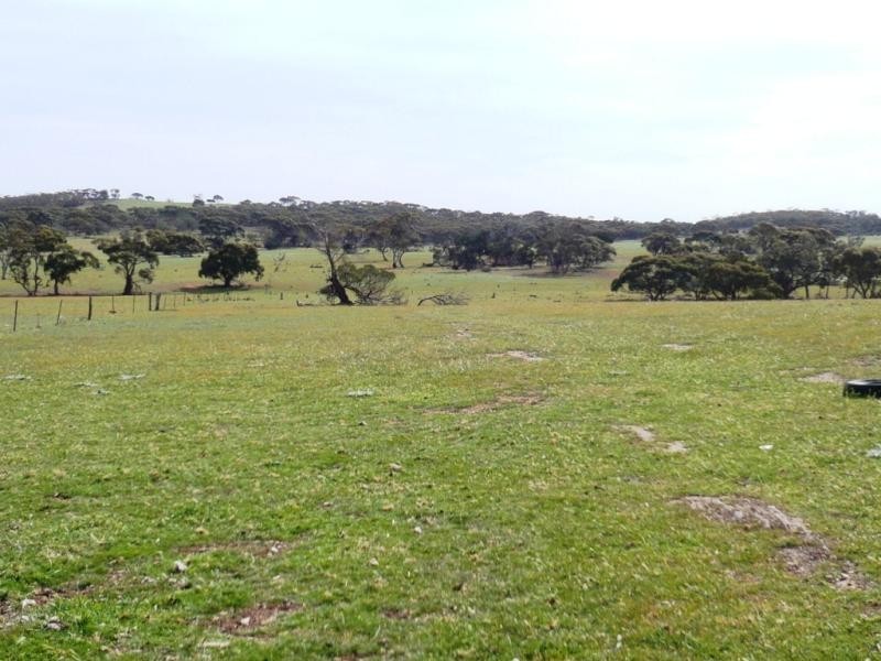 3 ,104ha Mt Bryan East 7,670acs, Mount Bryan SA 5418