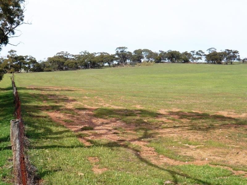 3 ,104ha Mt Bryan East 7,670acs, Mount Bryan SA 5418