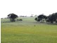 3 ,104ha Mt Bryan East 7,670acs, Mount Bryan SA 5418