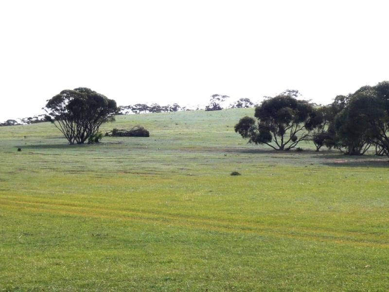 3 ,104ha Mt Bryan East 7,670acs, Mount Bryan SA 5418
