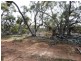 3 ,104ha Mt Bryan East 7,670acs, Mount Bryan SA 5418