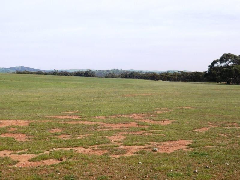 3 ,104ha Mt Bryan East 7,670acs, Mount Bryan SA 5418