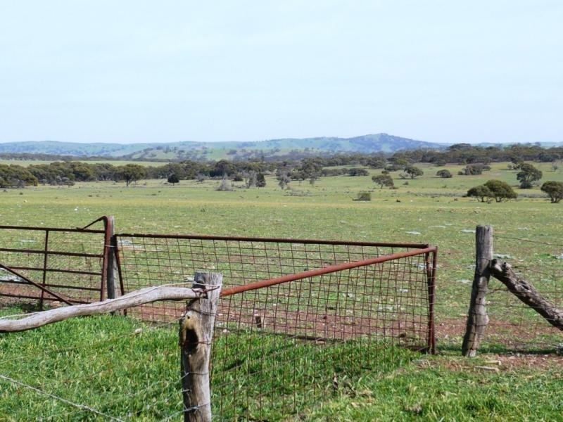3 ,104ha Mt Bryan East 7,670acs, Mount Bryan SA 5418