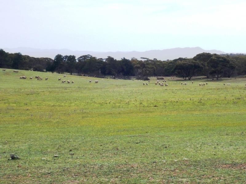 3 ,104ha Mt Bryan East 7,670acs, Mount Bryan SA 5418