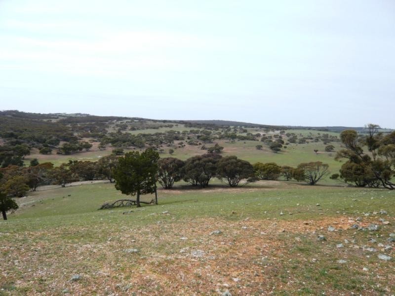 3 ,104ha Mt Bryan East 7,670acs, Mount Bryan SA 5418