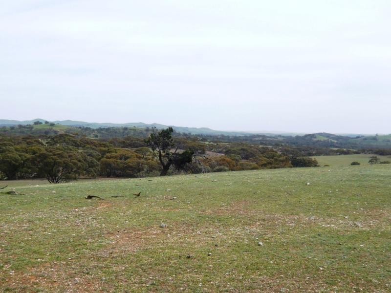 3 ,104ha Mt Bryan East 7,670acs, Mount Bryan SA 5418