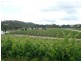 Spring Gully Rd 32 .37 ha, Clare SA 5453