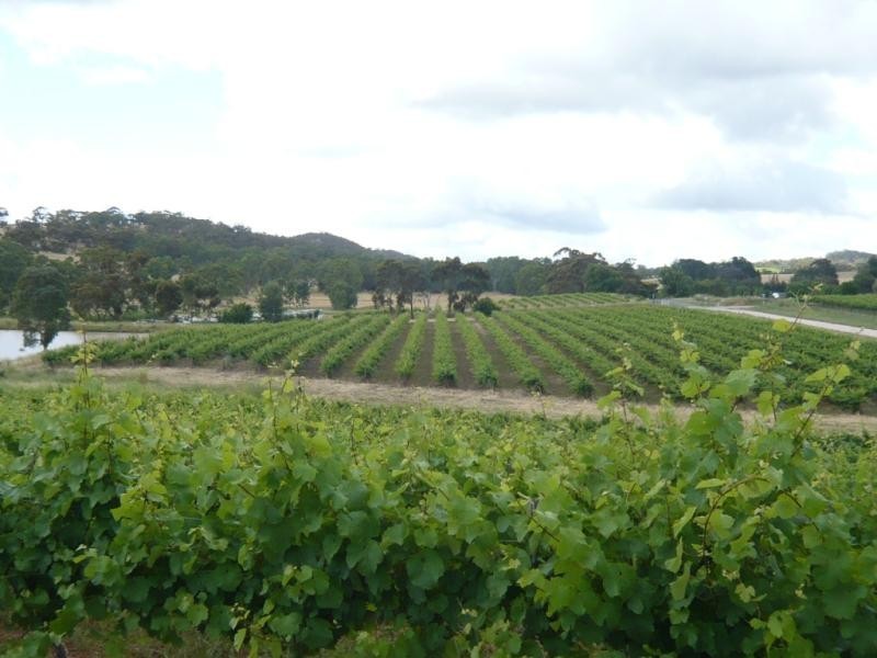 Spring Gully Rd 32 .37 ha, Clare SA 5453