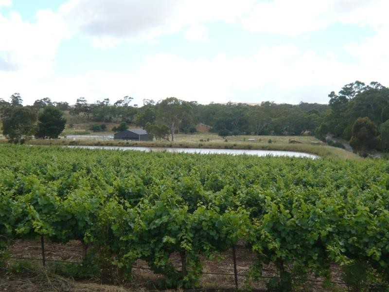 Spring Gully Rd 32 .37 ha, Clare SA 5453