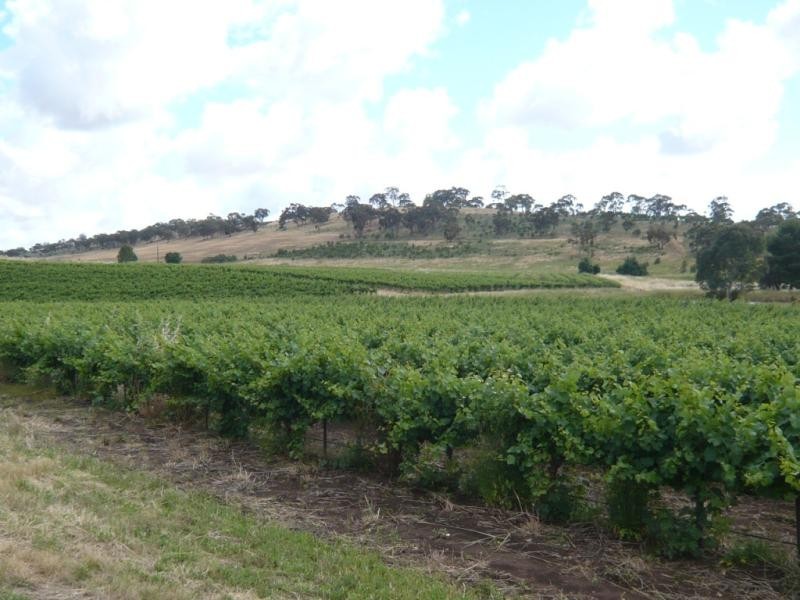 Spring Gully Rd 32 .37 ha, Clare SA 5453