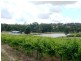 Spring Gully Rd 32 .37 ha, Clare SA 5453
