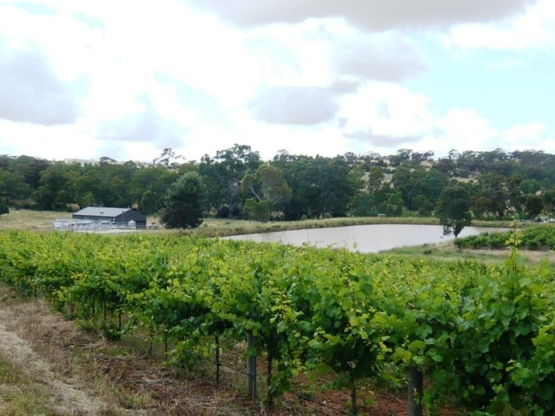 Spring Gully Rd 32 .37 ha, Clare SA 5453