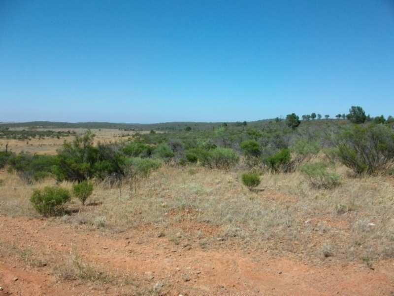 Oodla Wirra SA 5422