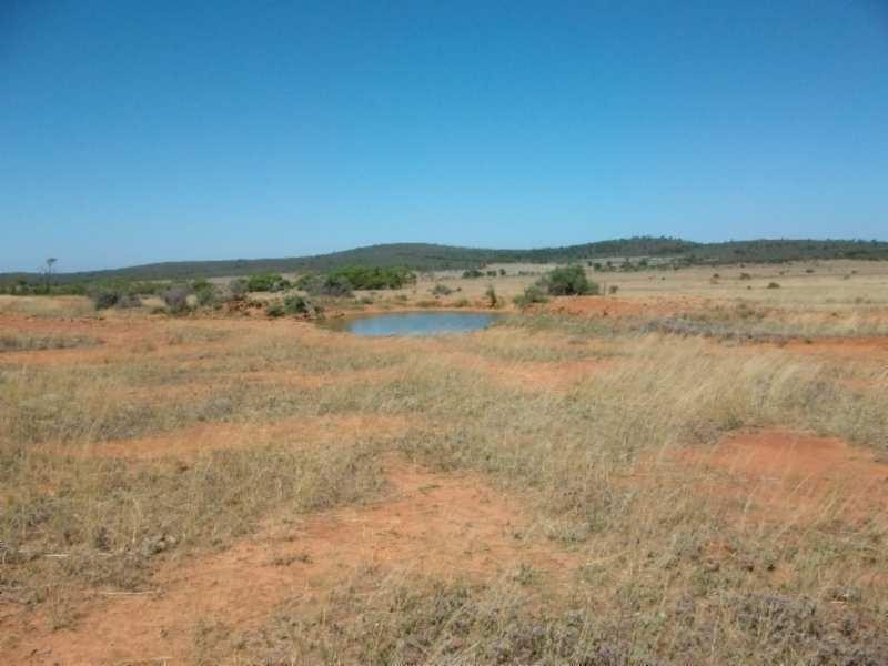 Oodla Wirra SA 5422