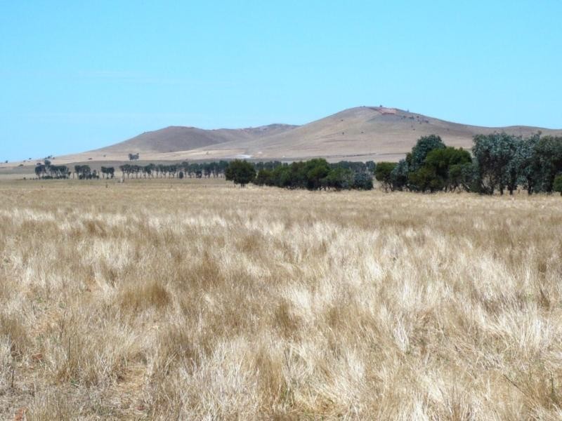 235 .44ha Popperinghi 581.9acs, Hallett SA 5419