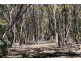 Lot 51 HUNDRED OF DUDLEY, Penneshaw SA 5222