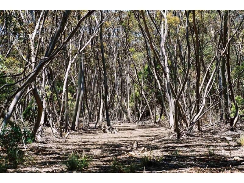 Lot 51 HUNDRED OF DUDLEY, Penneshaw SA 5222