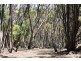 Lot 51 HUNDRED OF DUDLEY, Penneshaw SA 5222