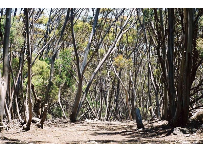 Lot 51 HUNDRED OF DUDLEY, Penneshaw SA 5222