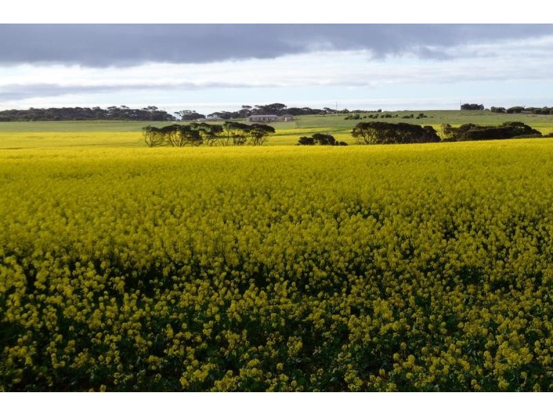 Lot 400 Emu Bay Rd, Kingscote SA 5223