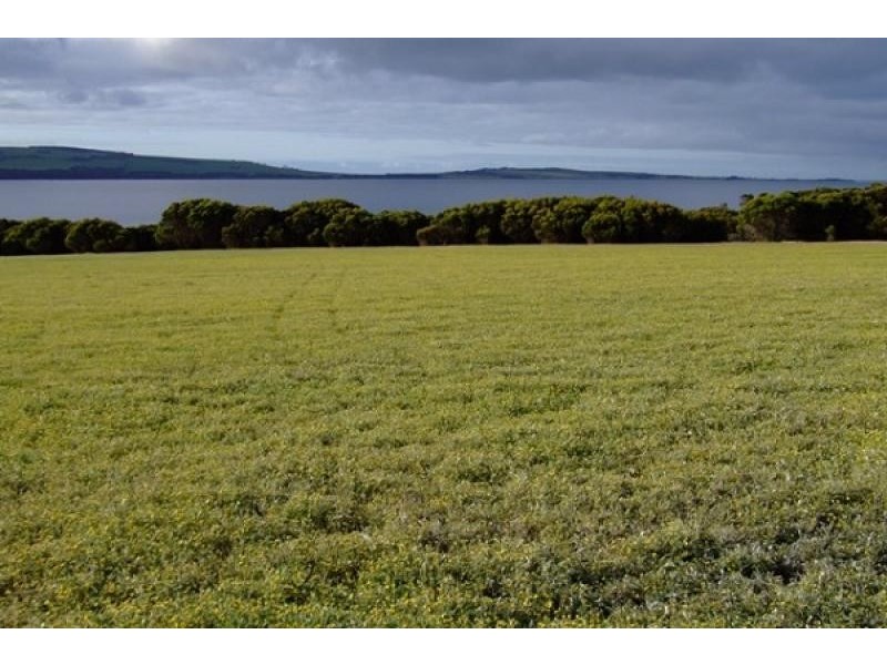 Lot 400 Emu Bay Rd, Kingscote SA 5223