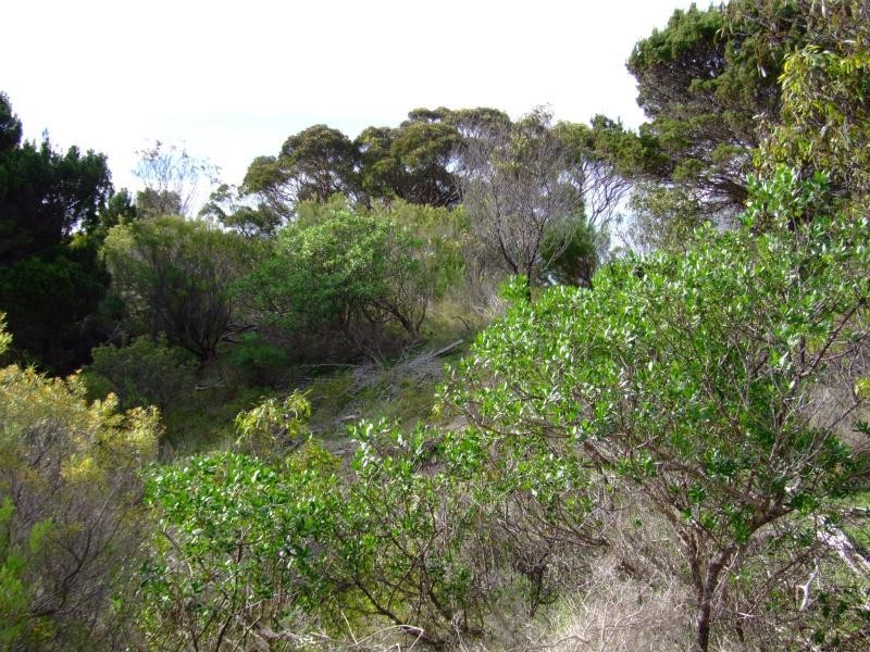 LOT 116 ISLAND BEACH ROAD, Island Beach SA 5222