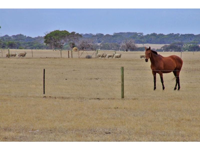 Lot 11 Rowland Hill Highway, Macgillivray SA 5223