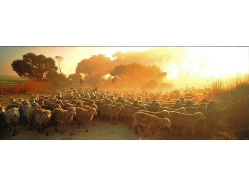 Macgillivray SA 5223