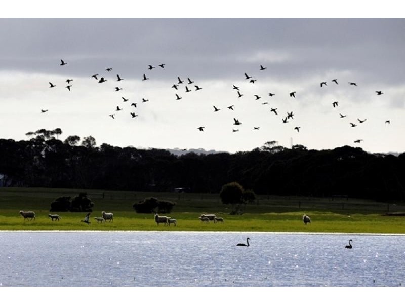 Macgillivray SA 5223