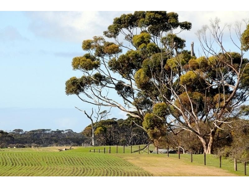 Macgillivray SA 5223