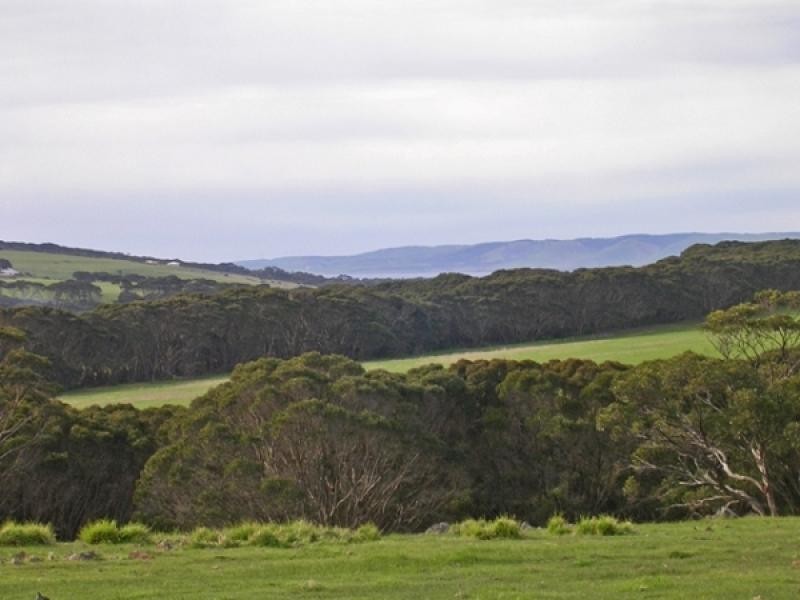 Section 362, 379 Section 362, 379, Dudley East SA 5222