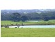 Lot 202 Hundred of Seddon, Parndana SA 5220