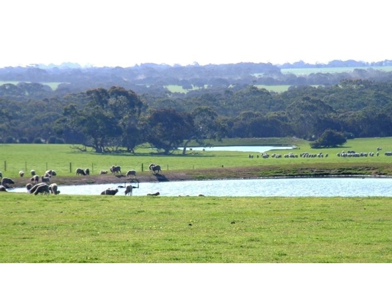 Lot 202 Hundred of Seddon, Parndana SA 5220