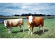 Lot 202 Hundred of Seddon, Parndana SA 5220