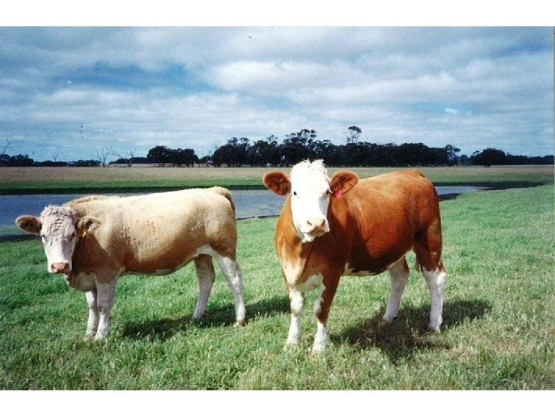 Lot 202 Hundred of Seddon, Parndana SA 5220