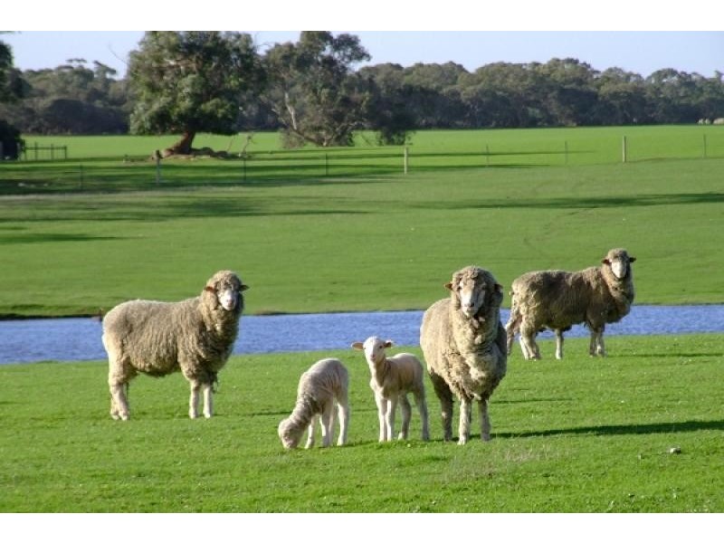 Lot 202 Hundred of Seddon, Parndana SA 5220