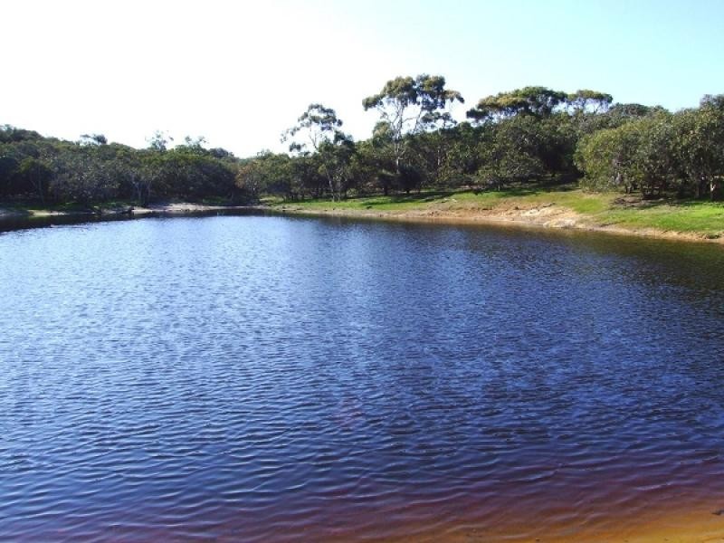 Lot 202 Hundred of Seddon, Parndana SA 5220