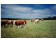 Lot 202 Hundred of Seddon, Parndana SA 5220
