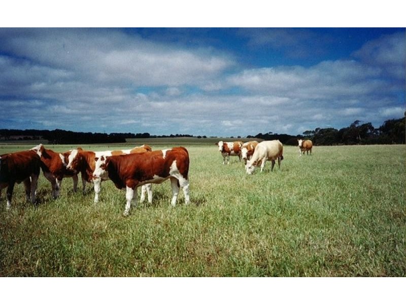 Lot 202 Hundred of Seddon, Parndana SA 5220