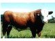 Lot 202 Hundred of Seddon, Parndana SA 5220