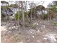 Lot 225 Torrens Street, Kingscote SA 5223