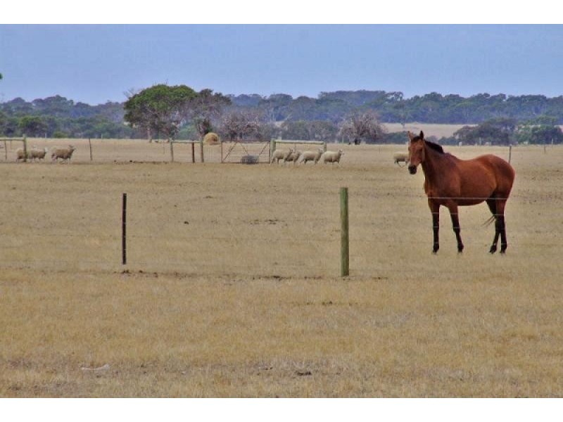 Lot 11 Rowland Hill Highway, Macgillivray SA 5223