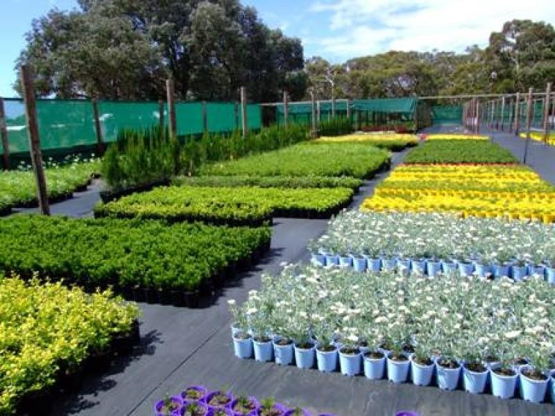 Section 9 JUMP OFF RD, Cape Borda SA 5223