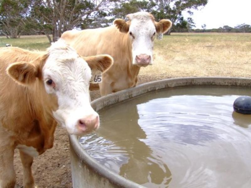 Section 9 JUMP OFF RD, Cape Borda SA 5223