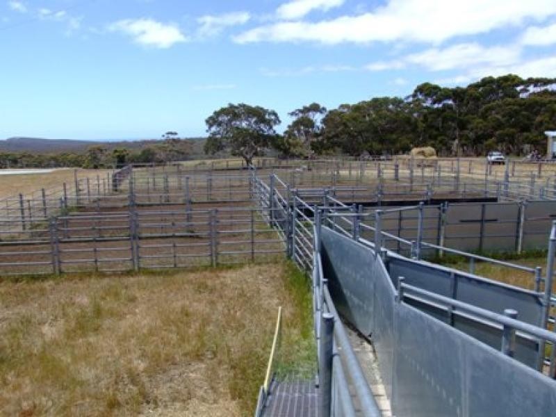 Section 9 JUMP OFF RD, Cape Borda SA 5223