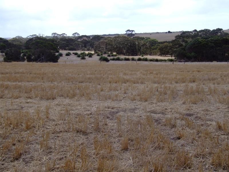 Lot 300 Millers Rd, via Bark Hut Rd, Hd of Cassini, Cygnet River SA 5223