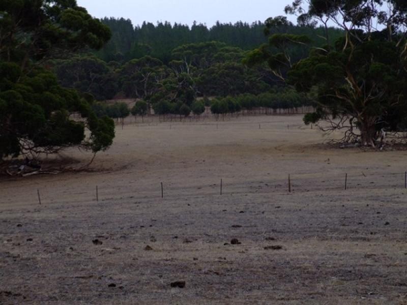 Lot 6 Bark Hut Rd, Hundred of Cassini, Cassini SA 5223