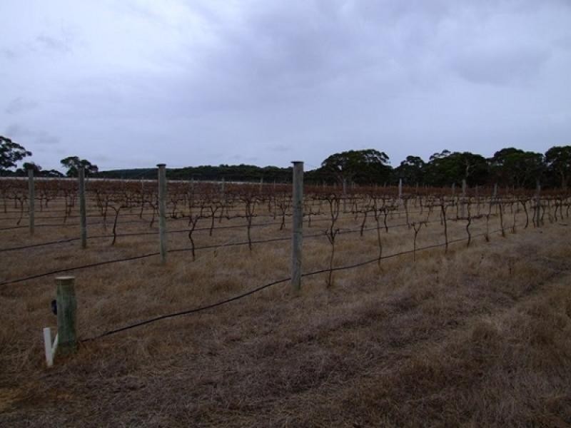 Lot 6 Bark Hut Rd, Hundred of Cassini, Cassini SA 5223
