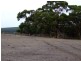 Lot 6 Bark Hut Rd, Hundred of Cassini, Cassini SA 5223